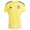 Maillot de Foot Gardien Aston Villa Domicile 2026-27
